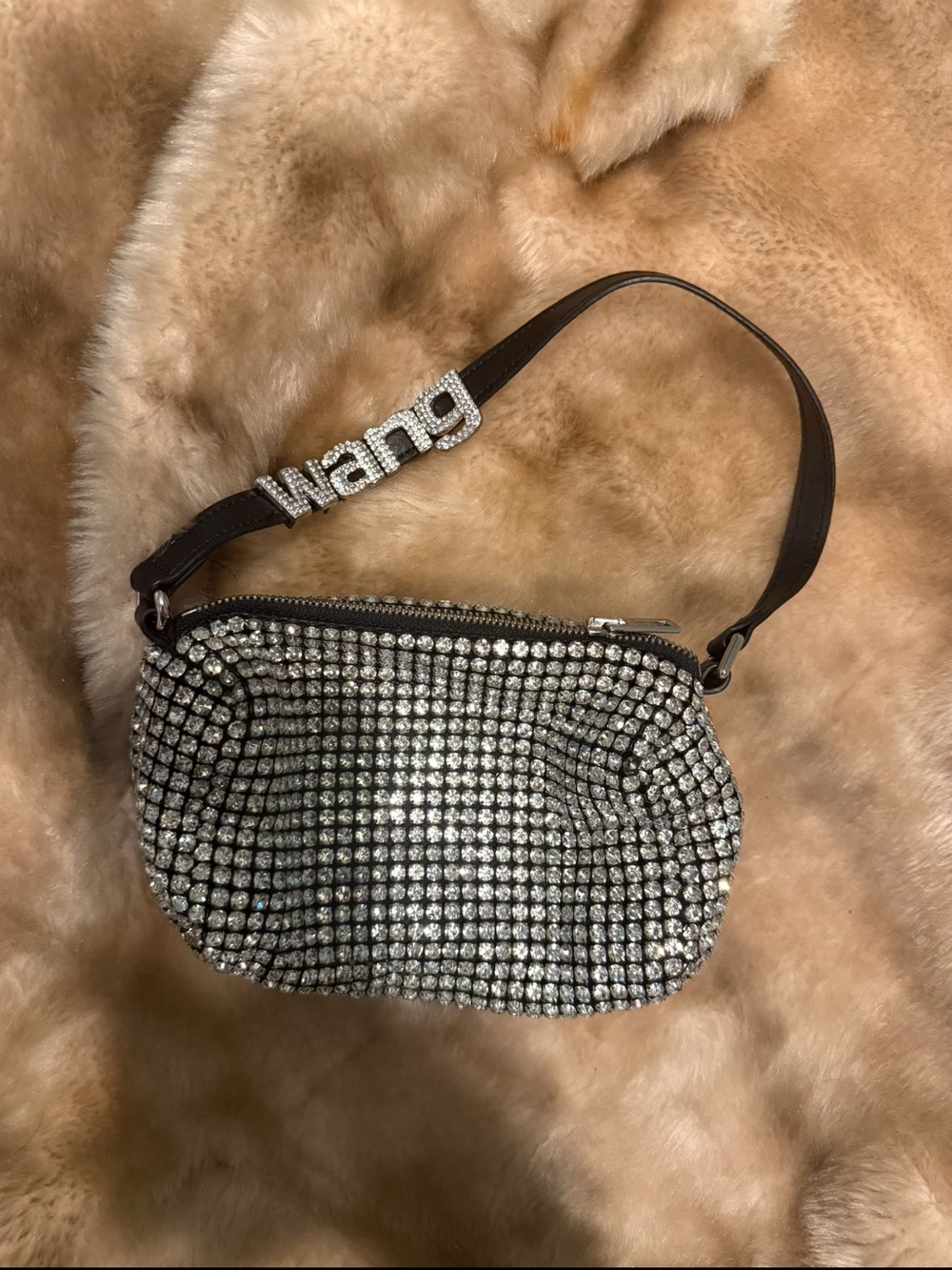 Alexander Wang Embellished Crystal Mini Bag with Logo Strap